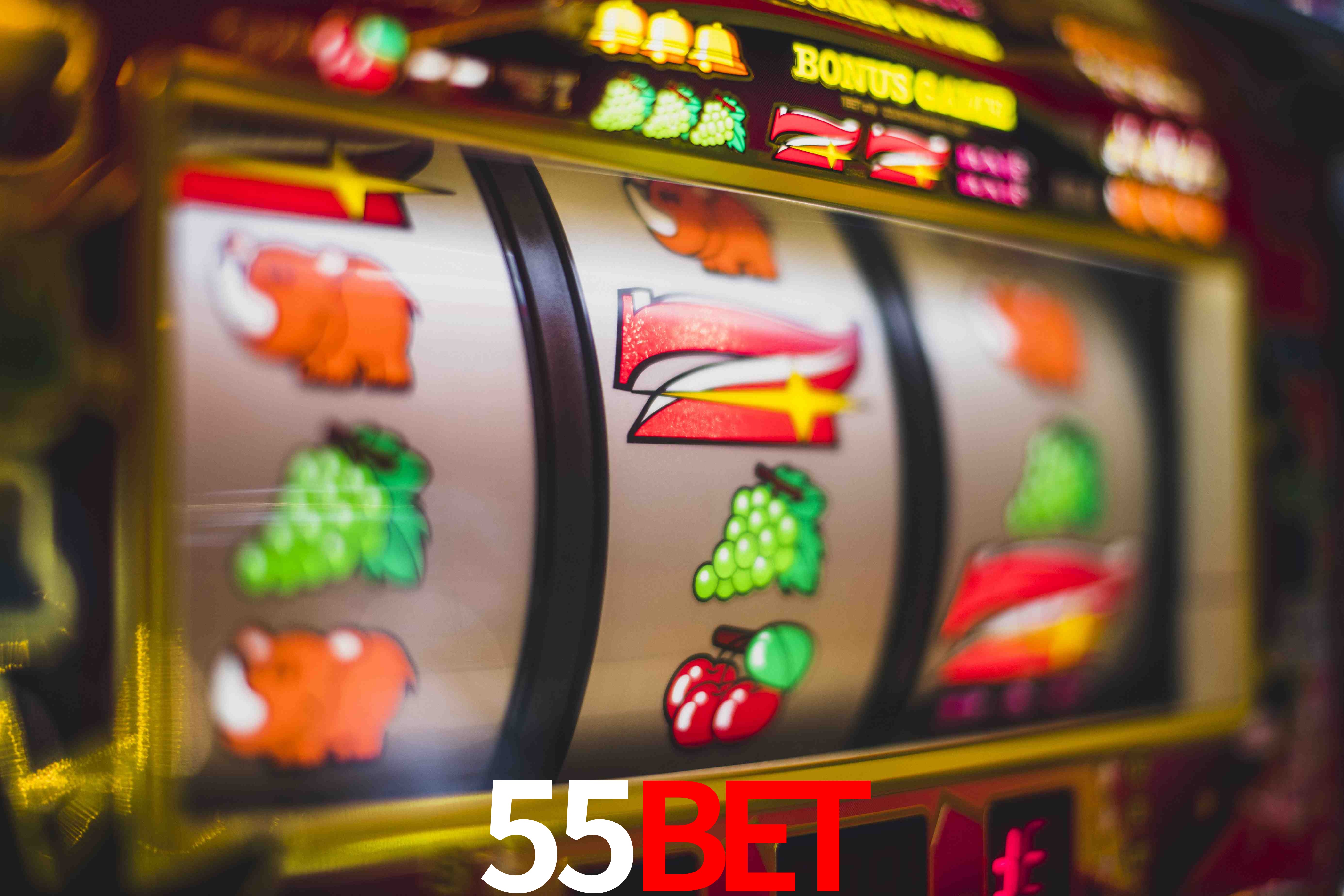 Welcome Bonus 55bet